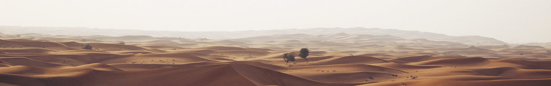ݸβʸ޹˾